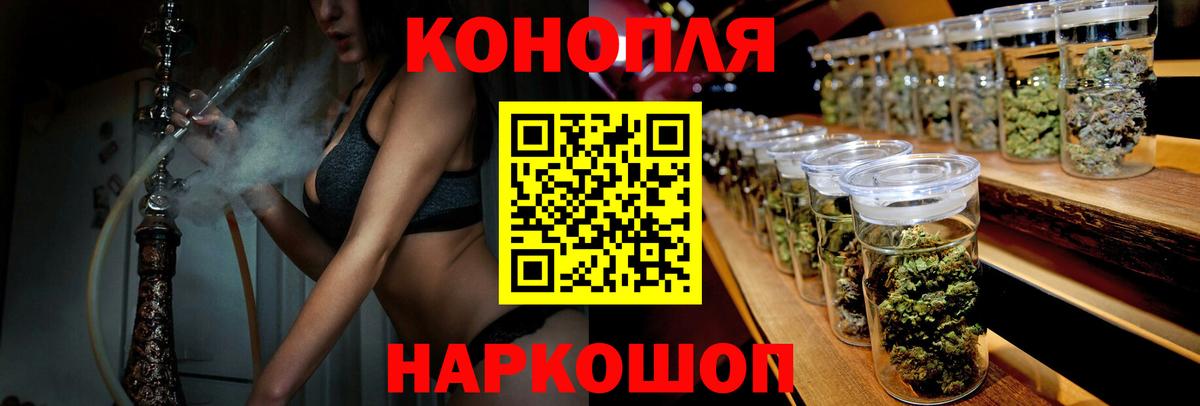 Бошки Шишки планчик Димитровград